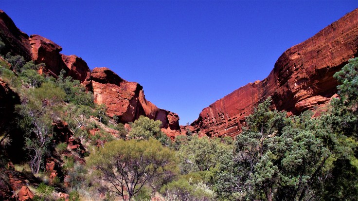 Kings Canyon 3