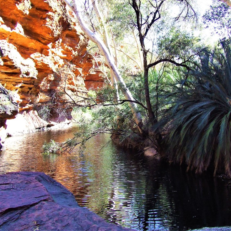 Kings Canyon 6