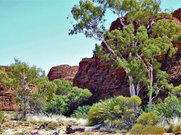 Kings Canyon Tony 080