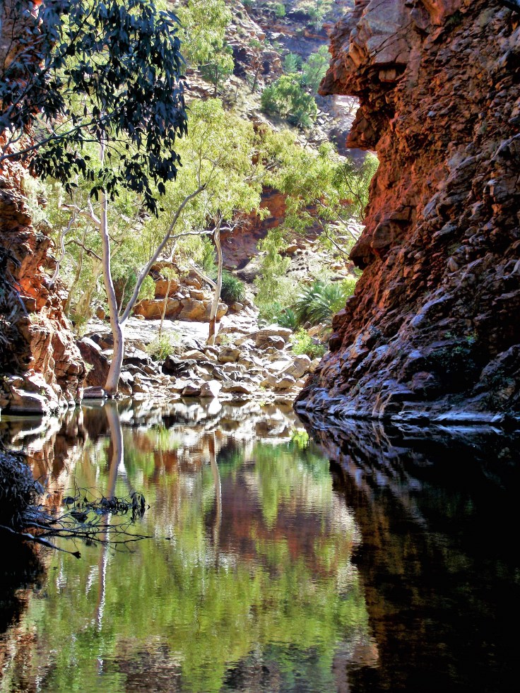Serpentine Gorge 4