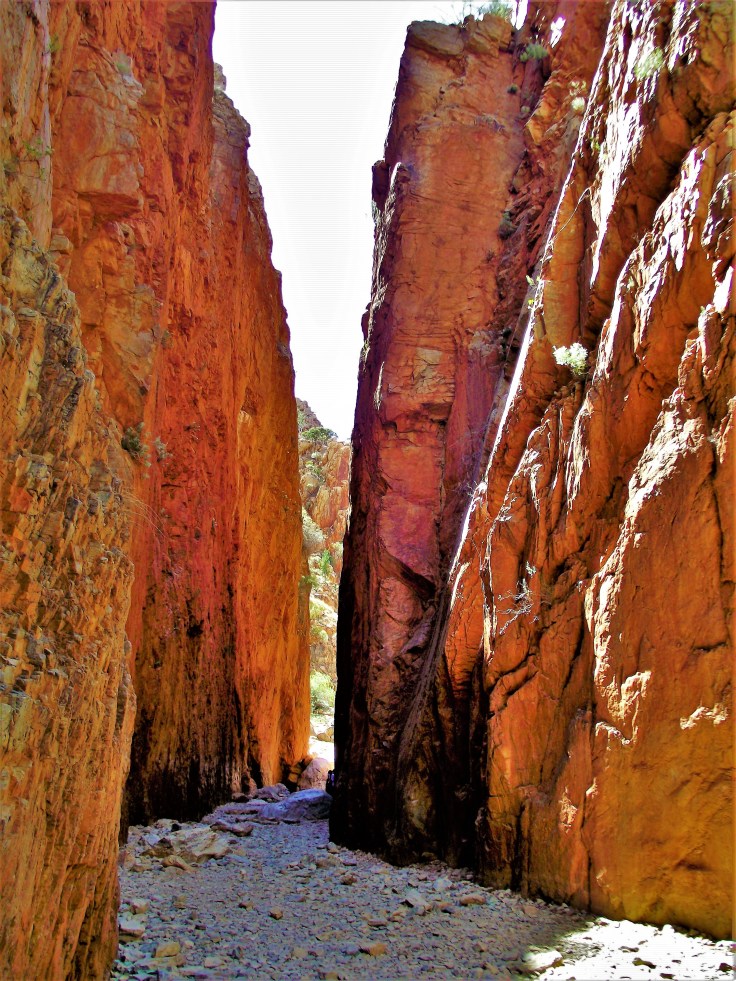 Standley Chasm NT 1