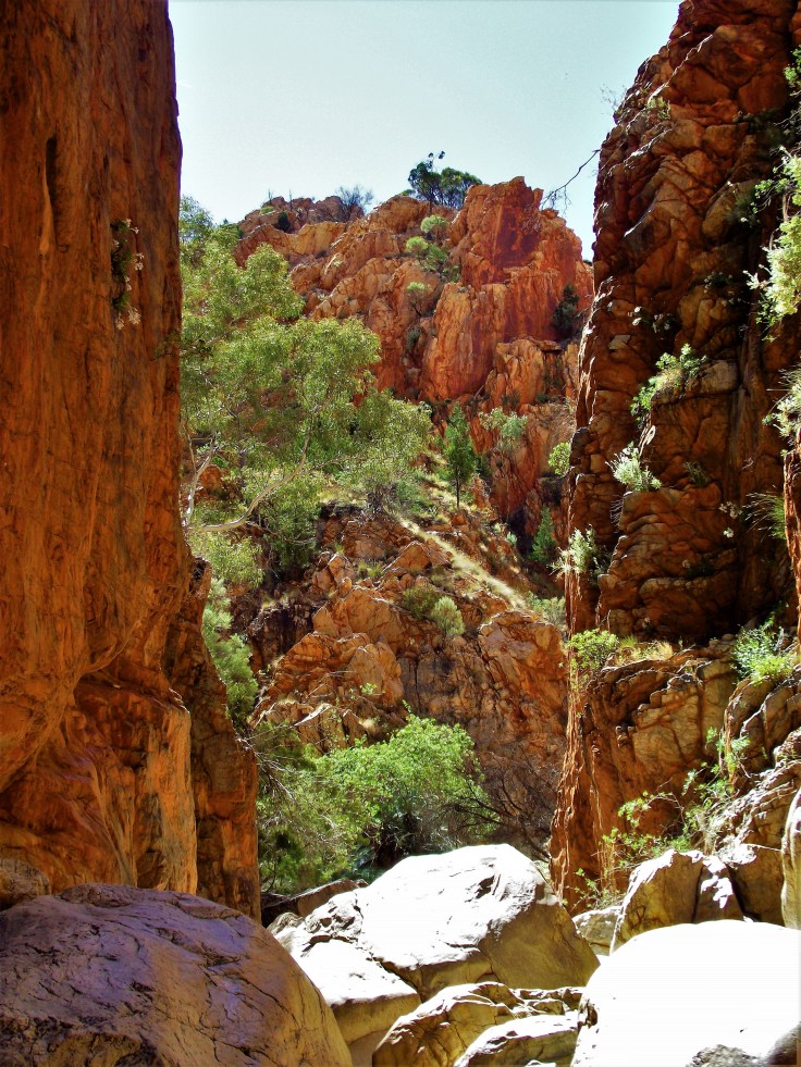 Standley Chasm NT 4
