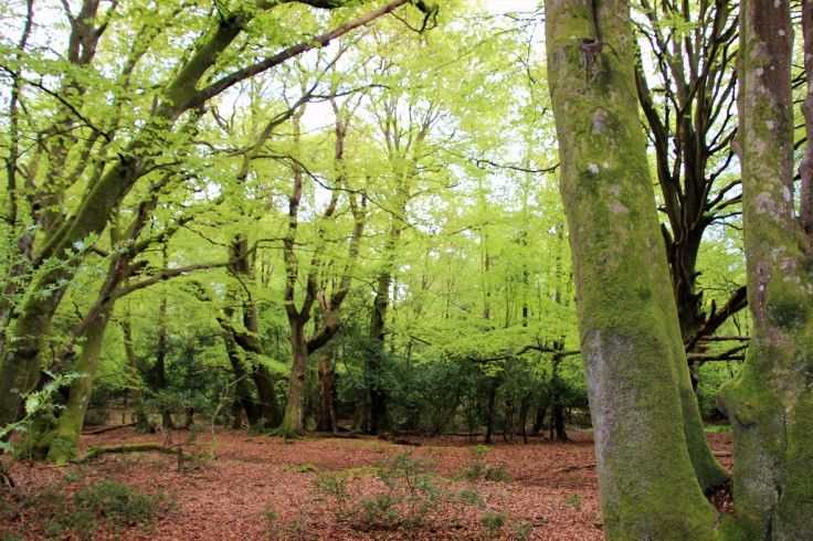 England Day 1 & 2 073